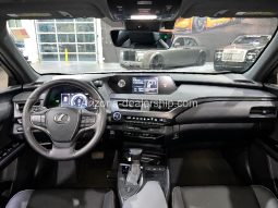 2020 Lexus UX UX 250h full