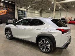 2020 Lexus UX UX 250h full