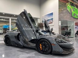 2019 McLaren 600LT full