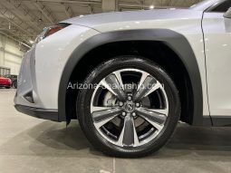 2020 Lexus UX UX 250h full