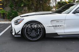 2021 Mercedes-Benz AMG GT Black Series full