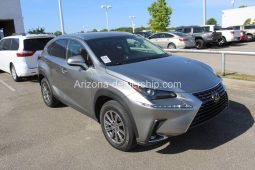 2019 Lexus NX NX 300 full