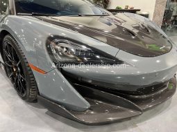 2019 McLaren 600LT full