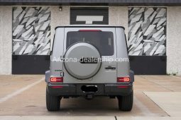 2022 Mercedes-Benz G-Class G 550 full