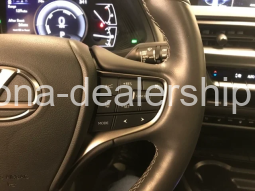 2021 LEXUS UX 250H full