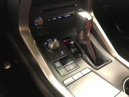 2019 LEXUS NX full