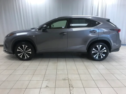 2019 LEXUS NX full