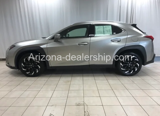 2021 LEXUS UX 250H full