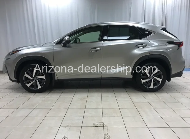 2020 LEXUS NX full