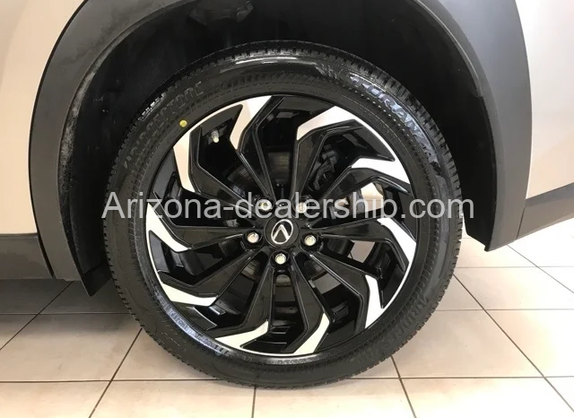 2021 LEXUS UX 250H full