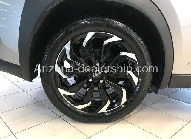 2021 LEXUS UX 250H full