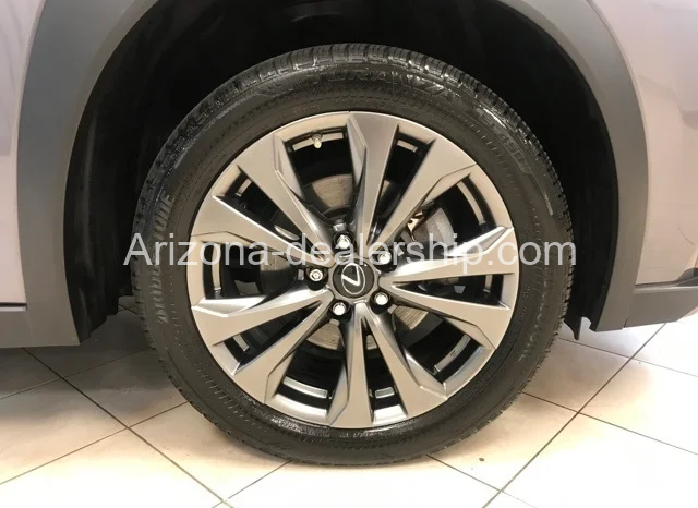 2020 LEXUS UX 250H F SPORT full