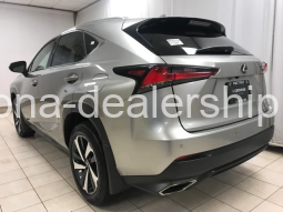 2020 LEXUS NX full