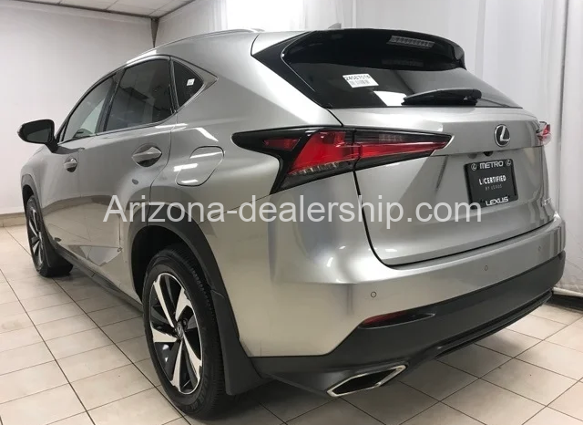 2020 LEXUS NX full