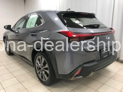 2020 LEXUS UX 250H F SPORT full