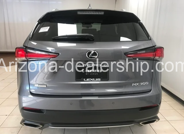 2019 LEXUS NX full