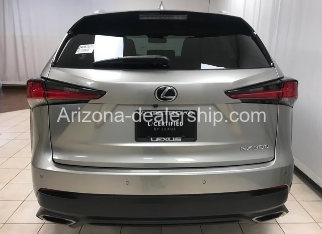 2020 LEXUS NX full