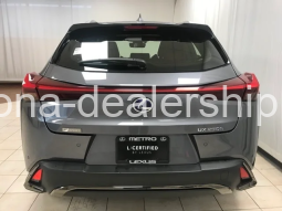 2020 LEXUS UX 250H F SPORT full